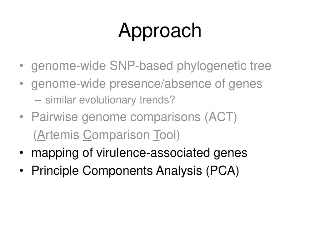 Approach genome-wide SNP-based phylogenetic tree