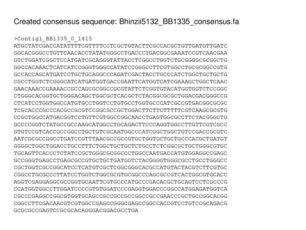 Created consensus sequence: Bhinzii5132_BB1335_consensus.fa