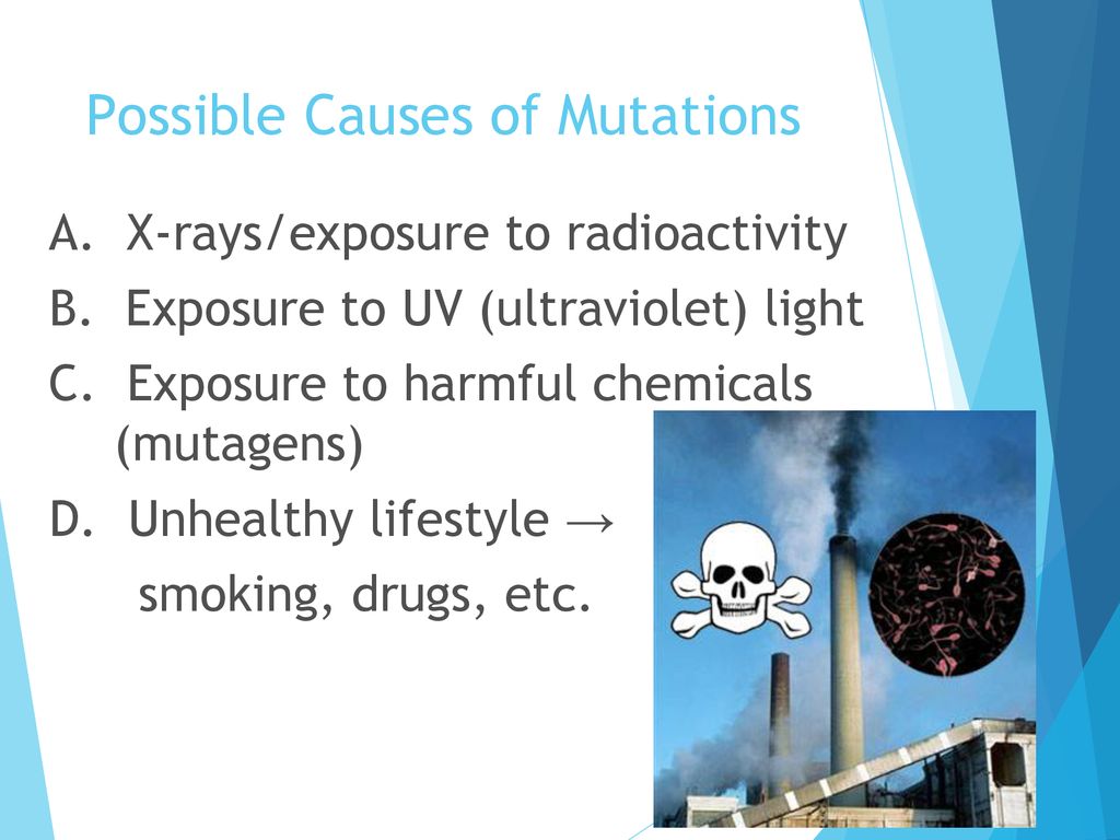 Possible Causes of Mutations