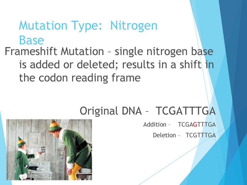Mutation Type: Nitrogen Base