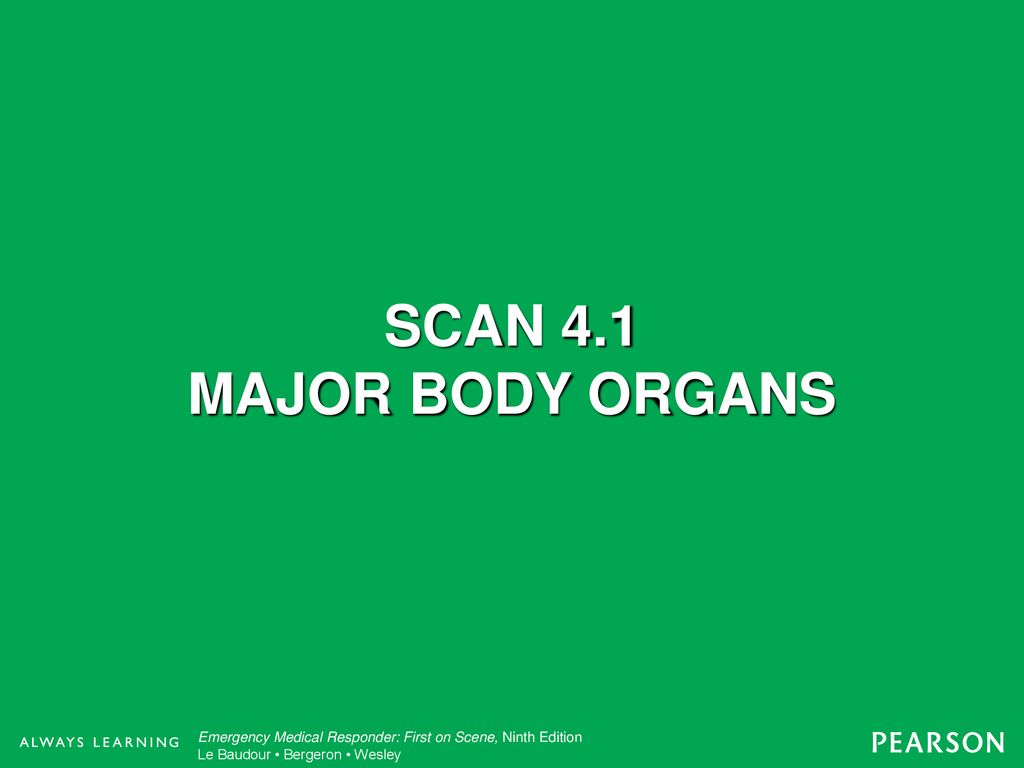 4 Introduction to Medical Terminology, Human Anatomy, and Lifespan ... Biology Diagrams