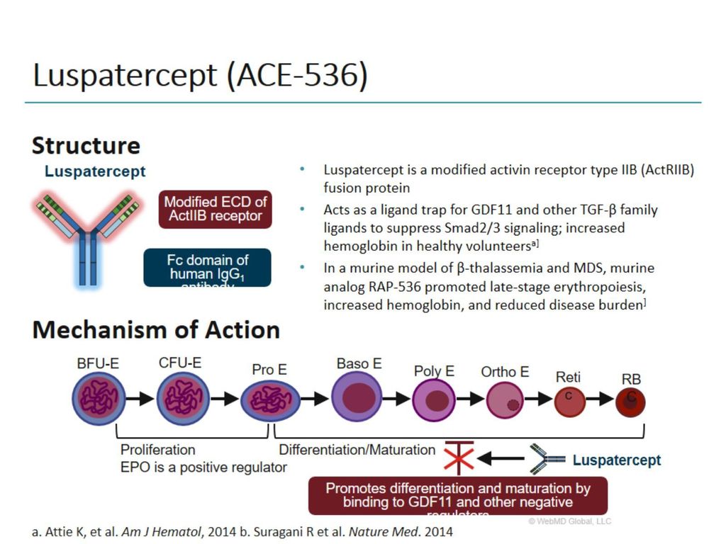 Managing Anemia in Lower-Risk MDS - ppt download