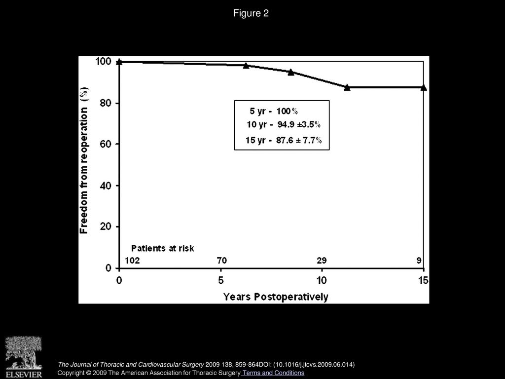 Figure 2 Kaplan–Meier estimates on freedom from reoperation on the aortic root after aortic valve–sparing operations.