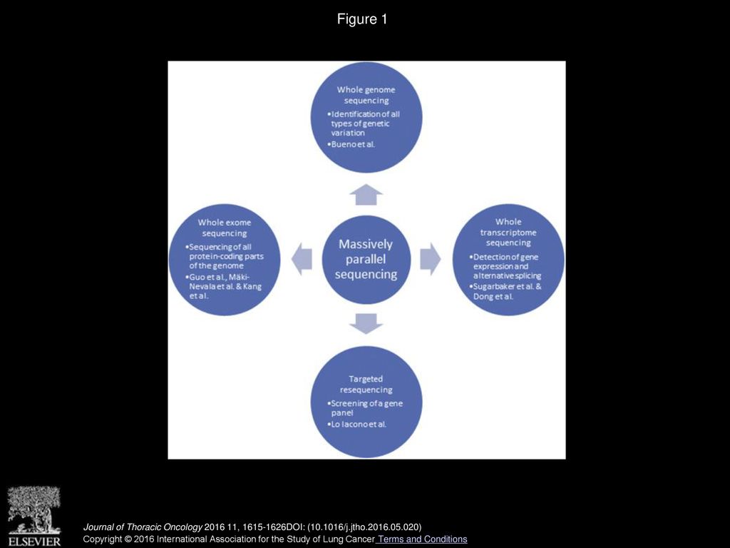 The Genetic Landscape Of Malignant Pleural Mesothelioma Results From Massively Parallel Sequencing Marieke Hylebos Msc Guy Van Camp Phd Jan P Van Ppt Download