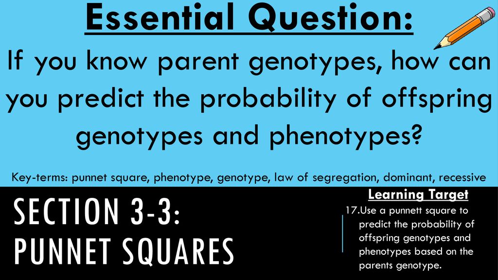 Section 3-3: Punnet Squares