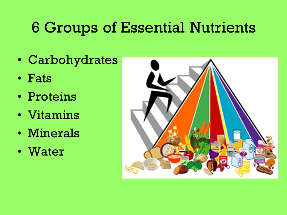 6 Groups of Essential Nutrients