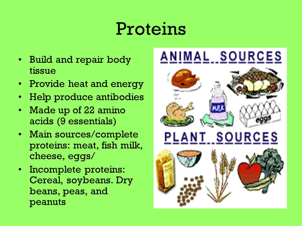 Proteins Build and repair body tissue Provide heat and energy