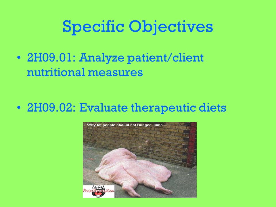 Specific Objectives 2H09.01: Analyze patient/client nutritional measures.