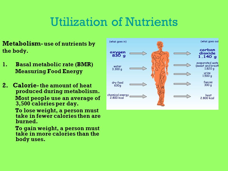 Utilization of Nutrients