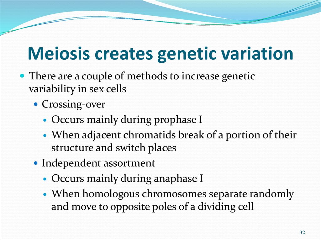 Meiosis and genetic variation Biology Diagrams