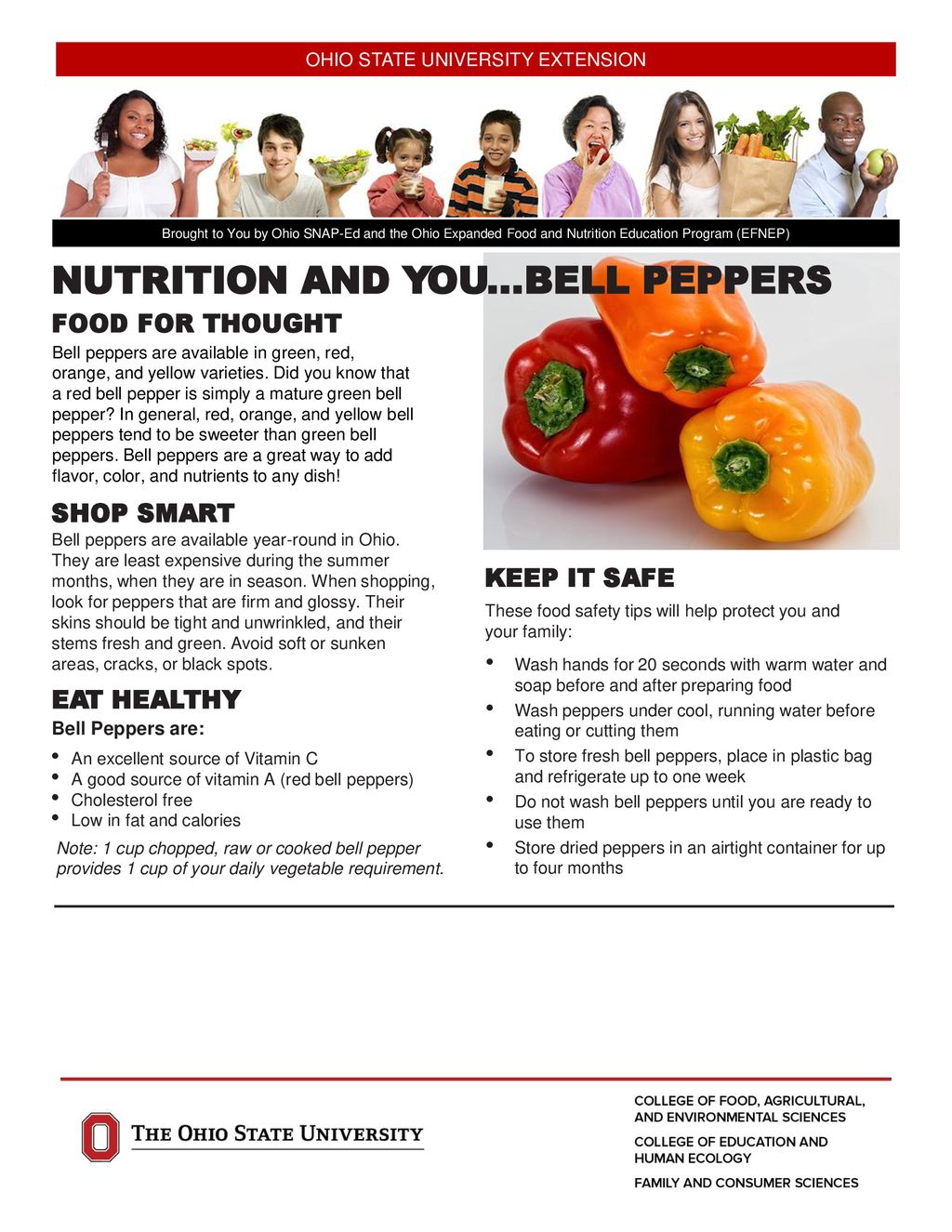 OHIO STATE UNIVERSITY EXTENSION Ppt Download ohio-state-university-extension-ppt-download