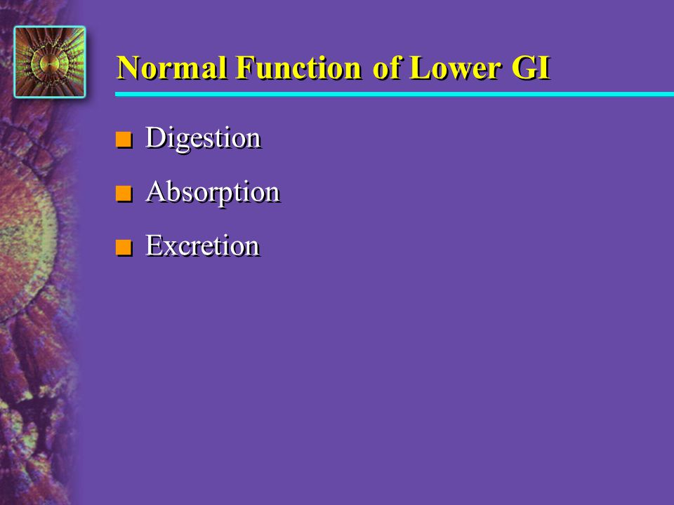 Normal Function of Lower GI