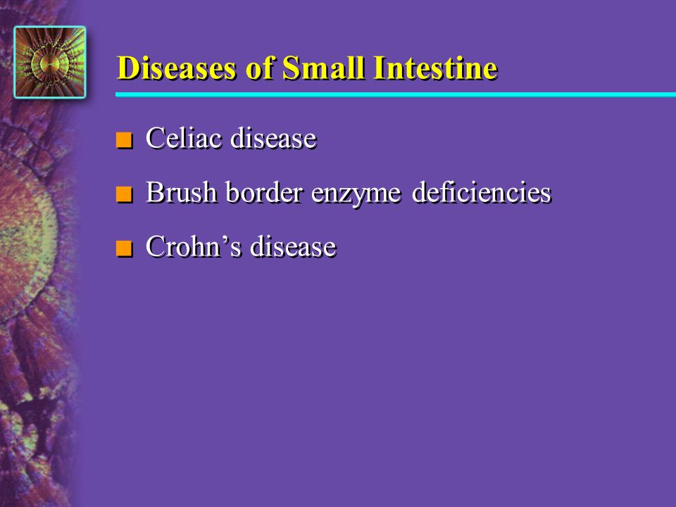Diseases of Small Intestine