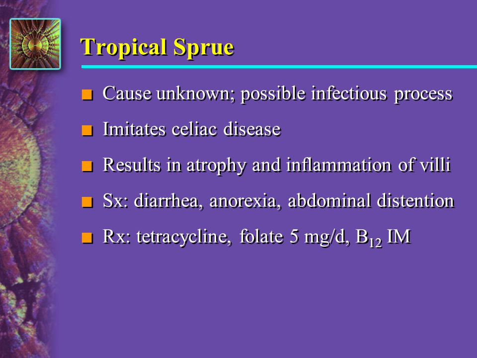 Tropical Sprue Cause unknown; possible infectious process