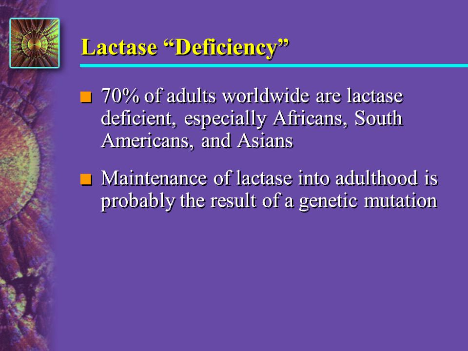Lactase Deficiency 70% of adults worldwide are lactase deficient, especially Africans, South Americans, and Asians.