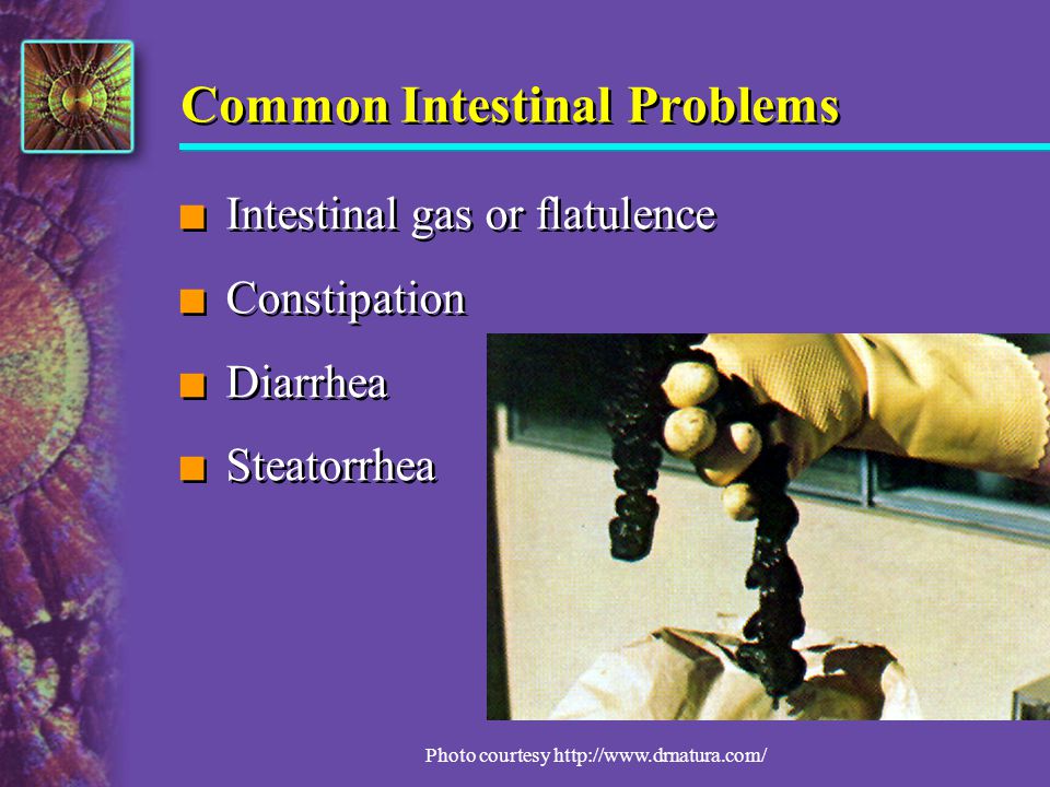 Common Intestinal Problems