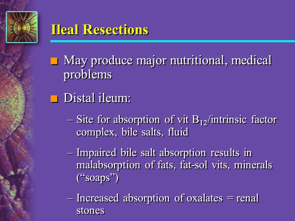 Ileal Resections May produce major nutritional, medical problems