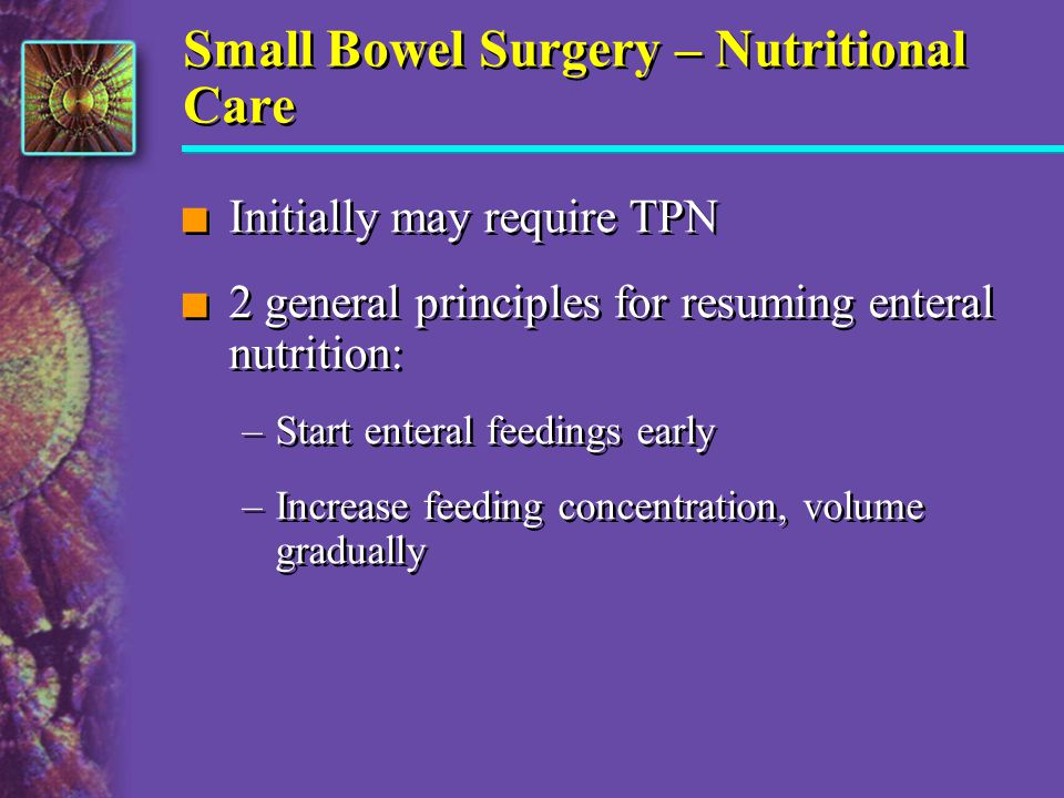 Small Bowel Surgery – Nutritional Care