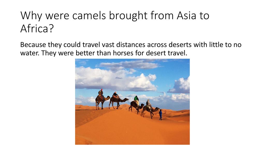 Ch 11 Study Guide World History. - ppt download
