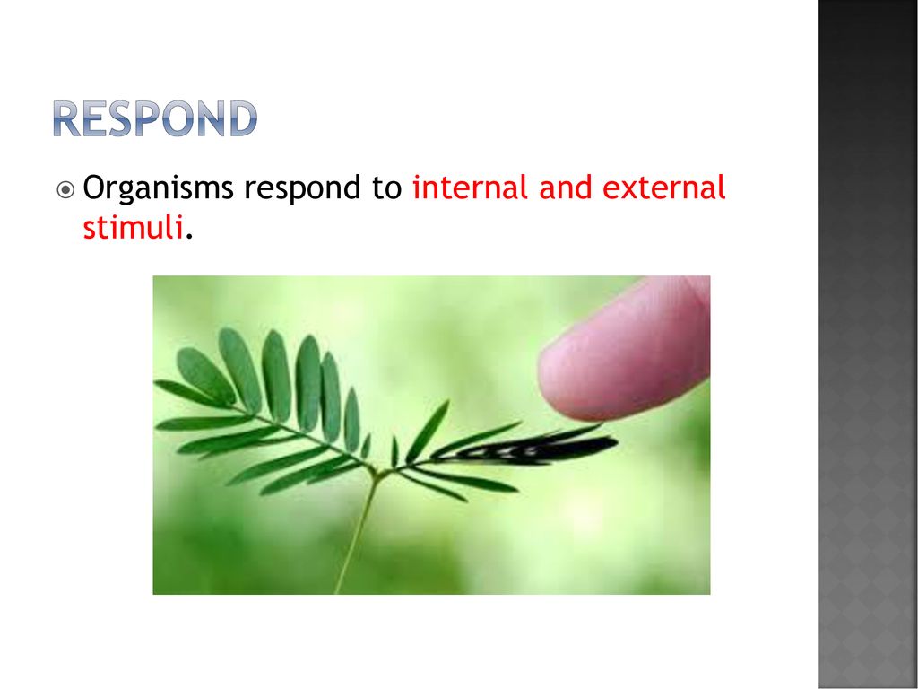 Introduction to biology ppt download