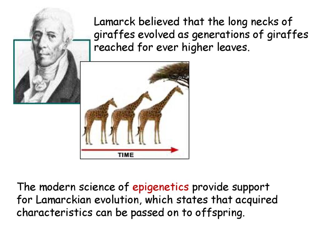 Chapter 8: Evolution and Natural Selection - ppt download