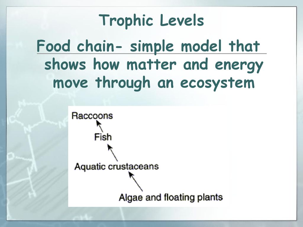 Agenda Bellringer (5min.) Introduction (5min) Review slides (10min ... Biology Diagrams