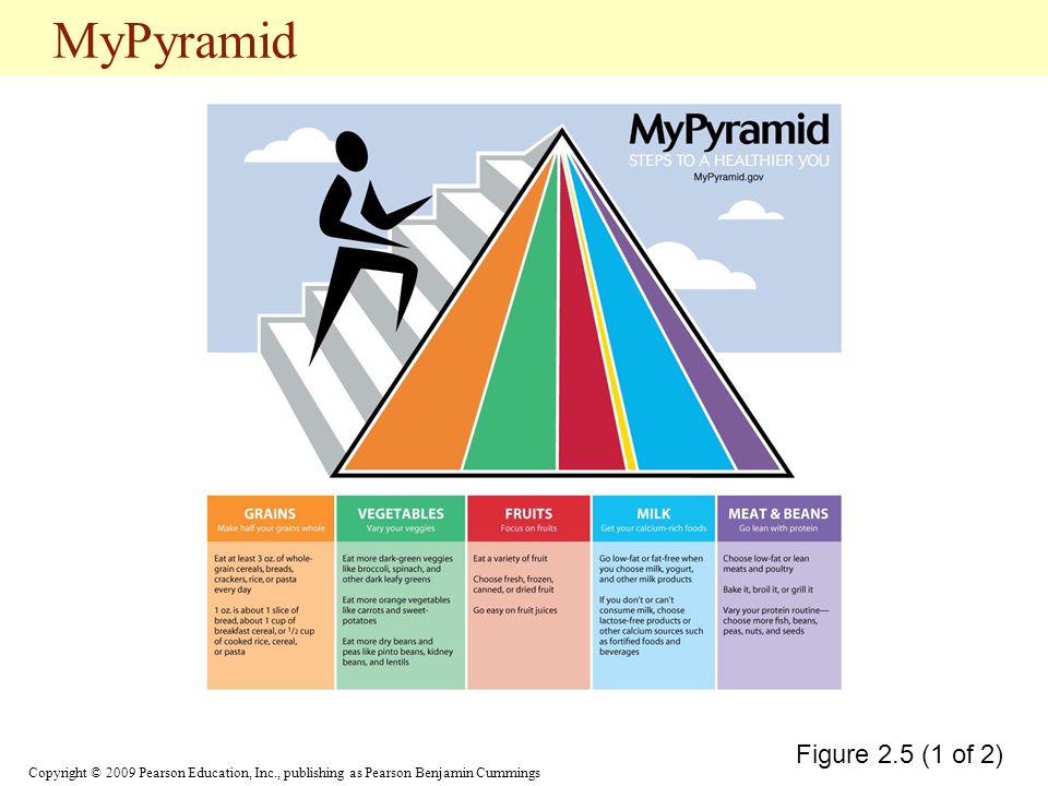 MyPyramid Figure 2.5 (1 of 2)
