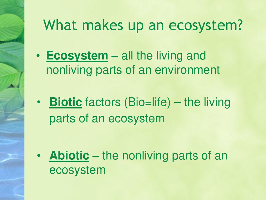 Biotic and Abiotic factors - ppt download