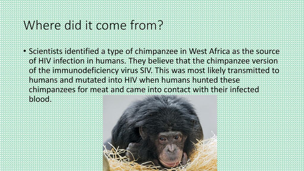 HIV And Aids By: Eric Hutchinson. - ppt download