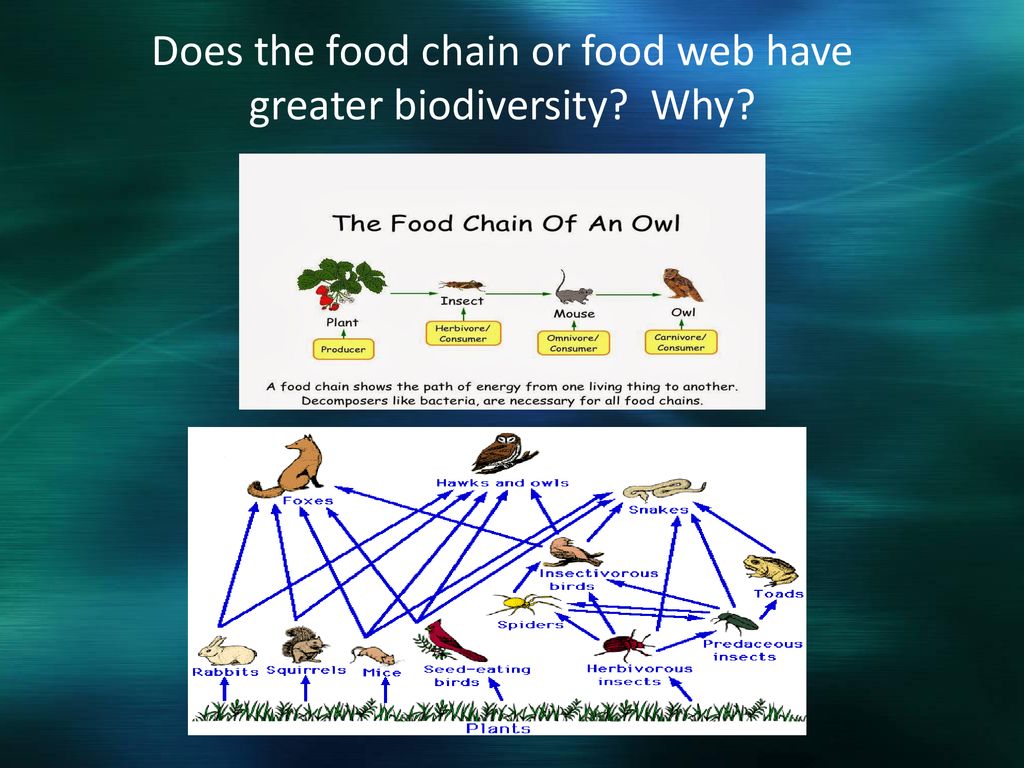 Science Starter: Complete the Learning Target and Success Criteria on ... Biology Diagrams