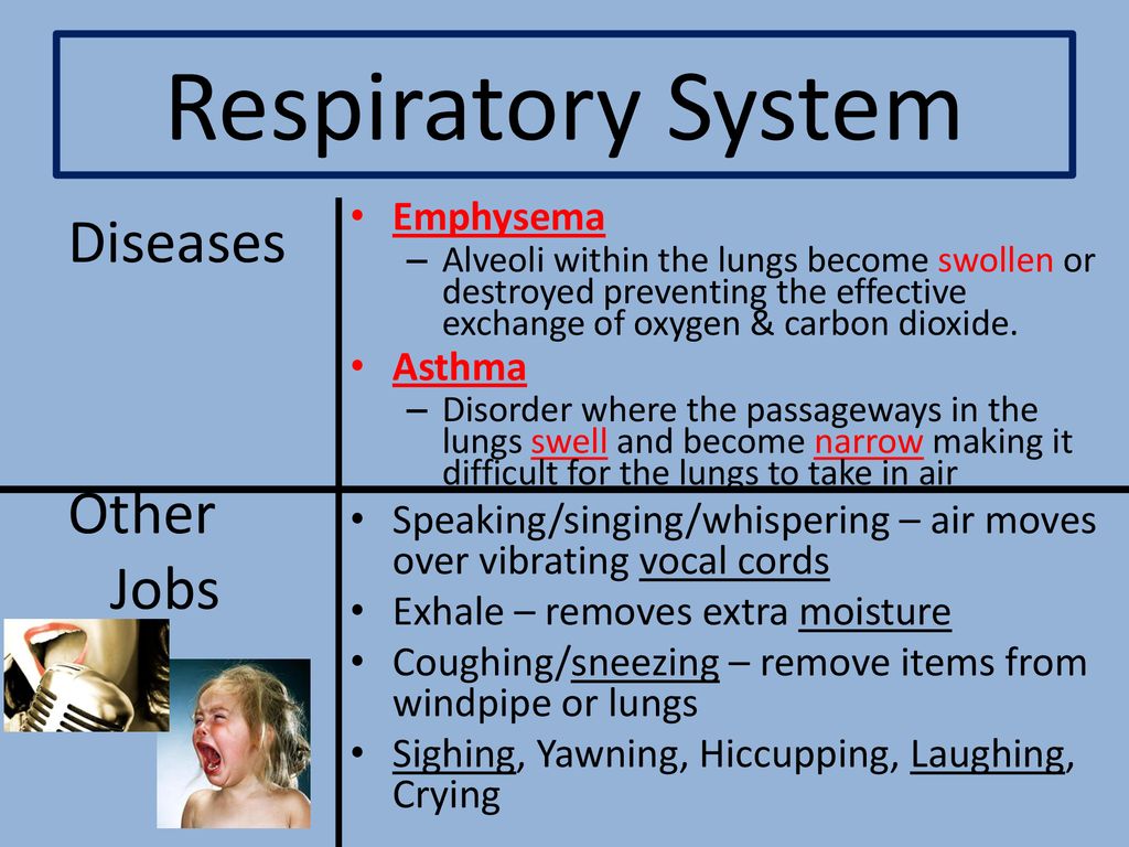 Emphysema Respiratory System influenza Bronchitis. - ppt download