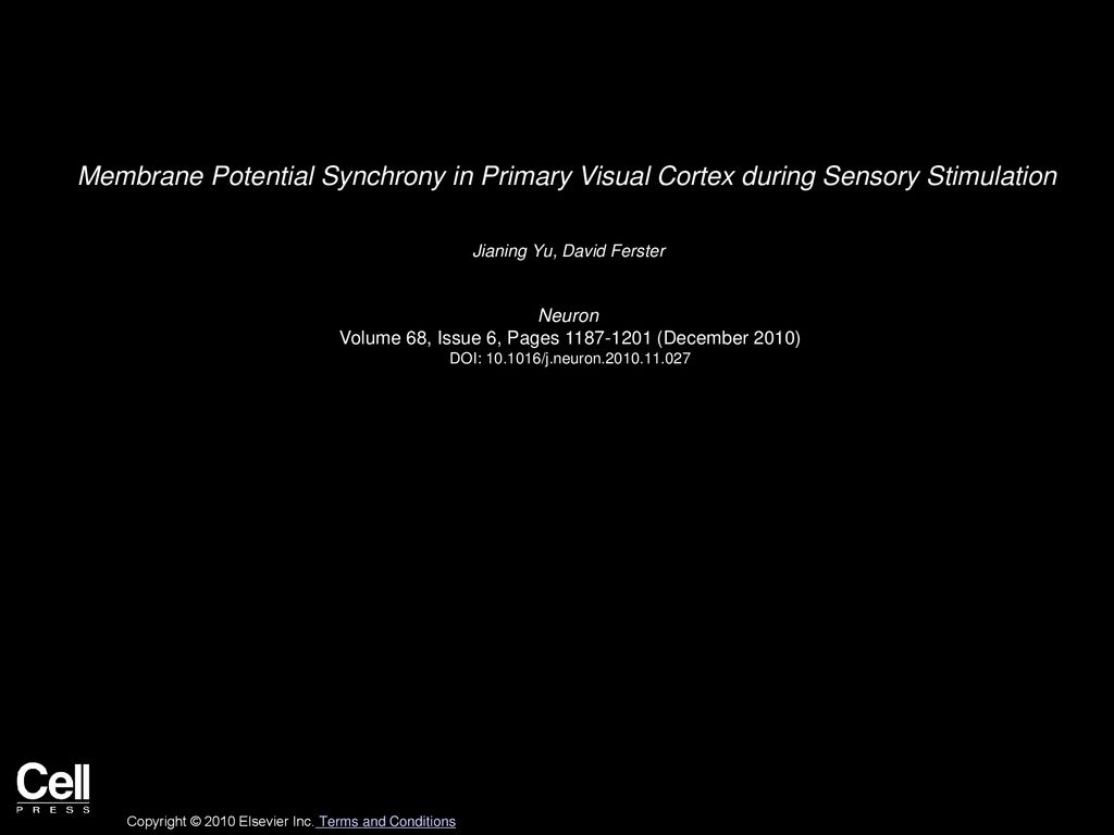 Membrane Potential Synchrony in Primary Visual Cortex during Sensory Stimulation