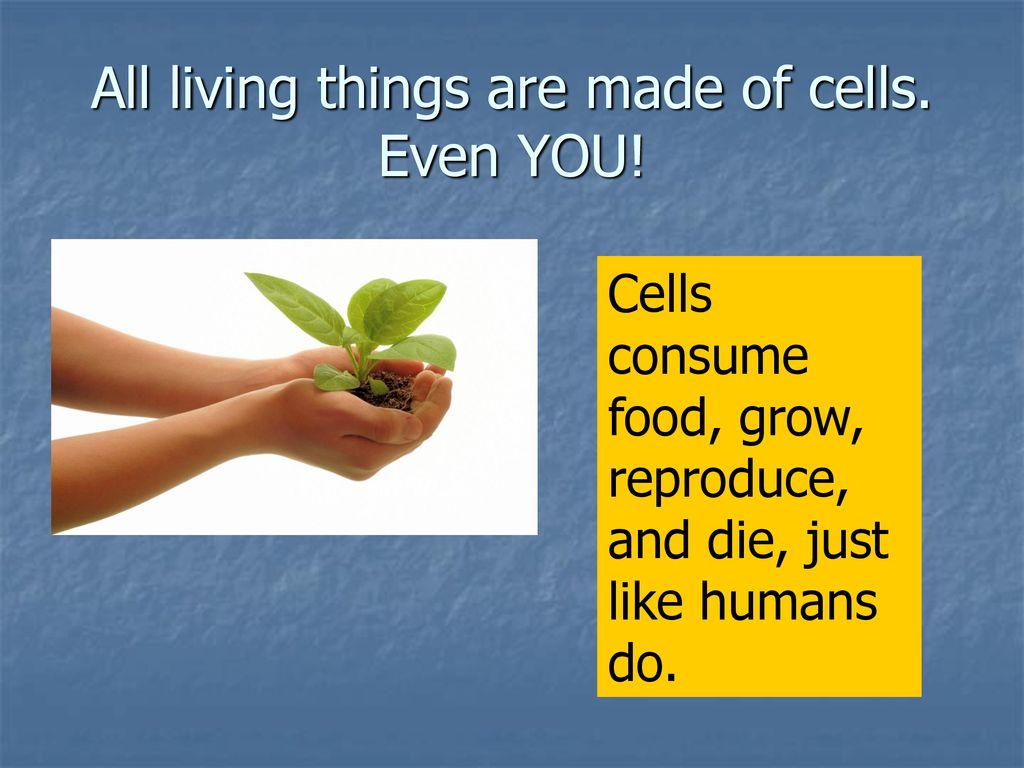 cells-cells-ppt-download