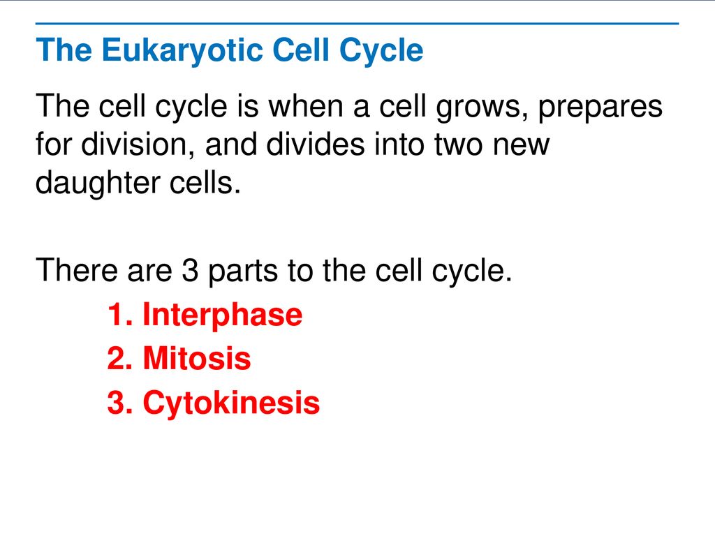 Cell Growth Division and Reproduction Biology Diagrams