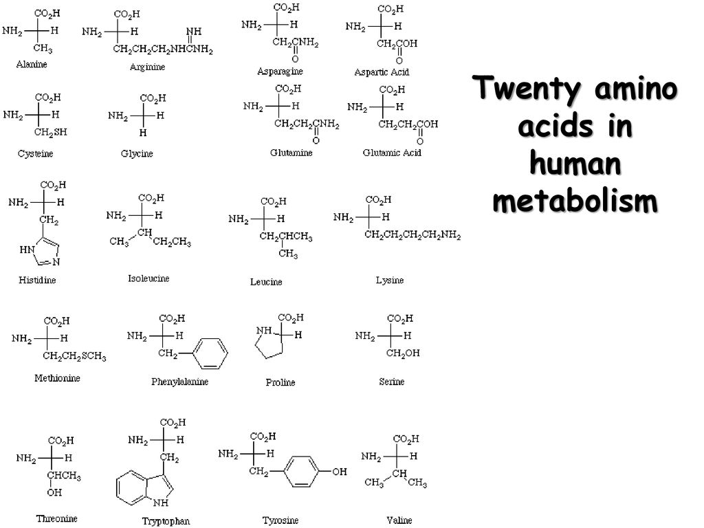 Кетокислоты аминокислот. Формулы 20 аминокислот таблица. Аминокислоты формула 20 аминокислот. 20 Аминокислот формулы. 20 Аминокислот формулы и названия.