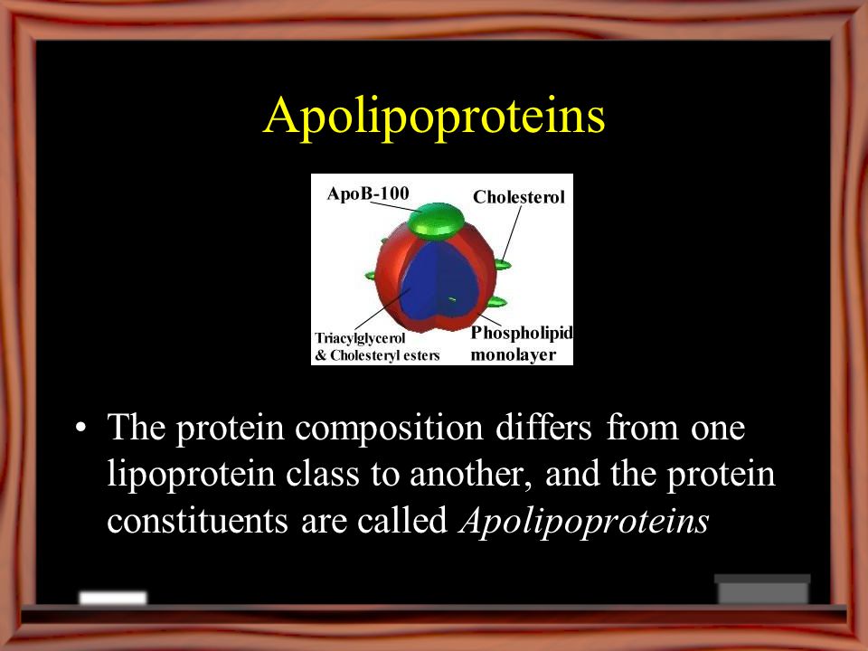 Apolipoproteins The protein composition differs from one lipoprotein class to another, and the protein constituents are called Apolipoproteins.