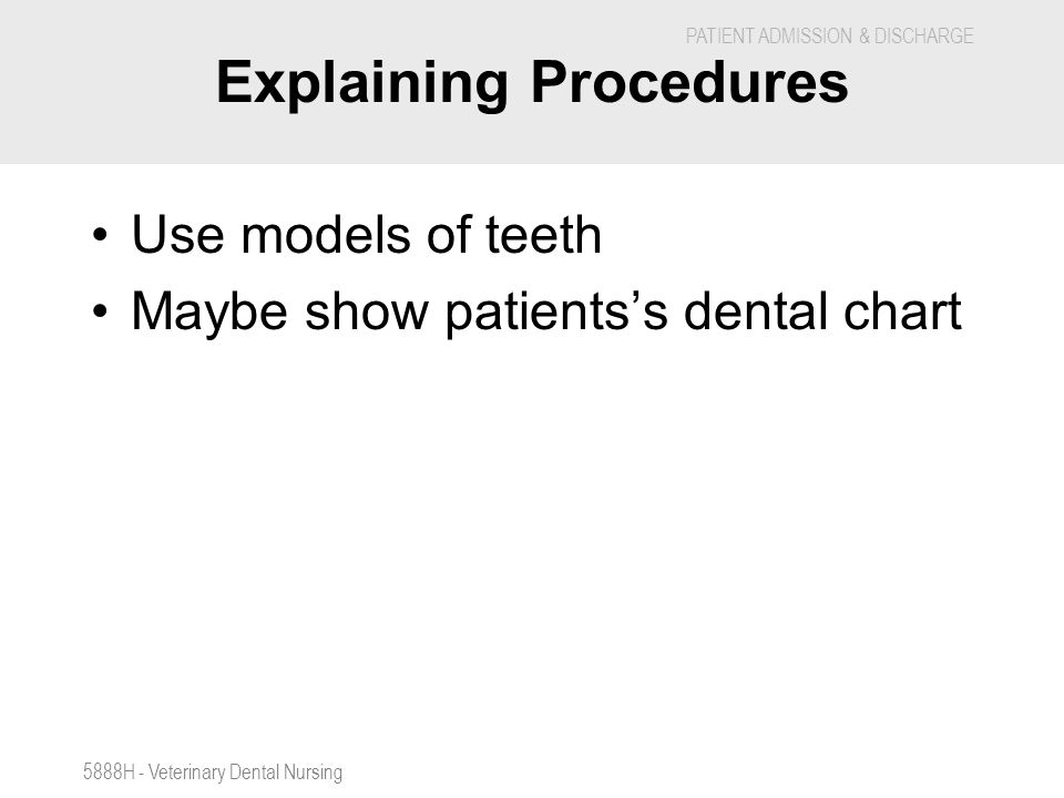 Feline Dental Chart