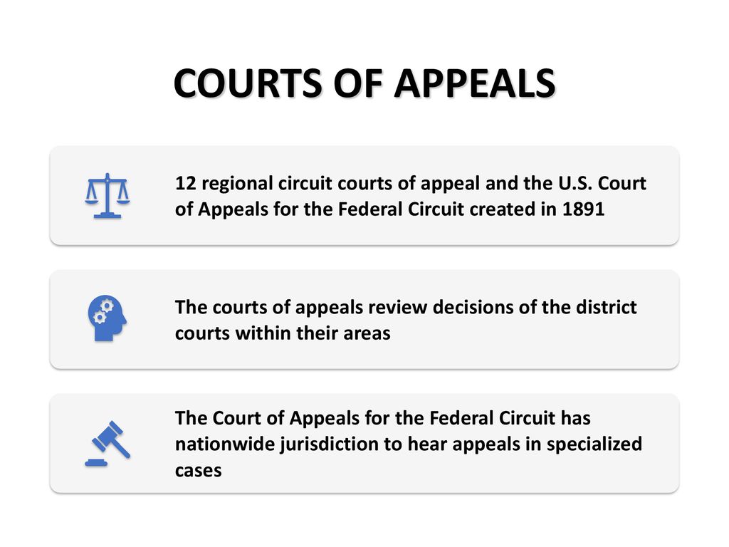 Judicial Review and Limited Government ppt download