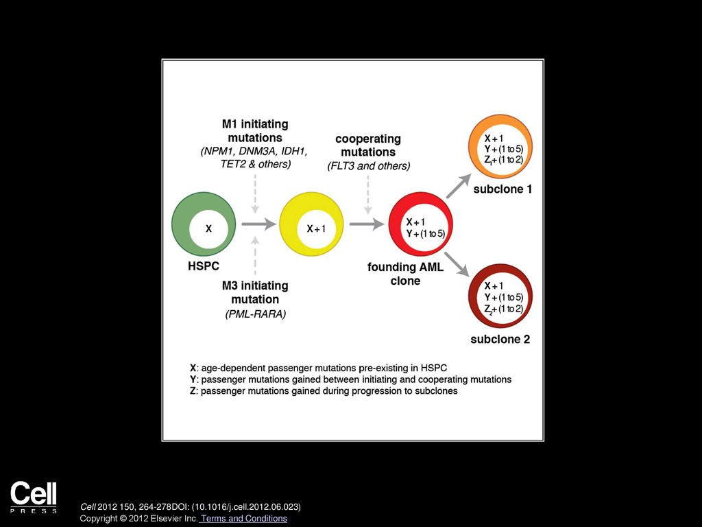 Cell , DOI: ( /j.cell ) Copyright © 2012 Elsevier Inc.