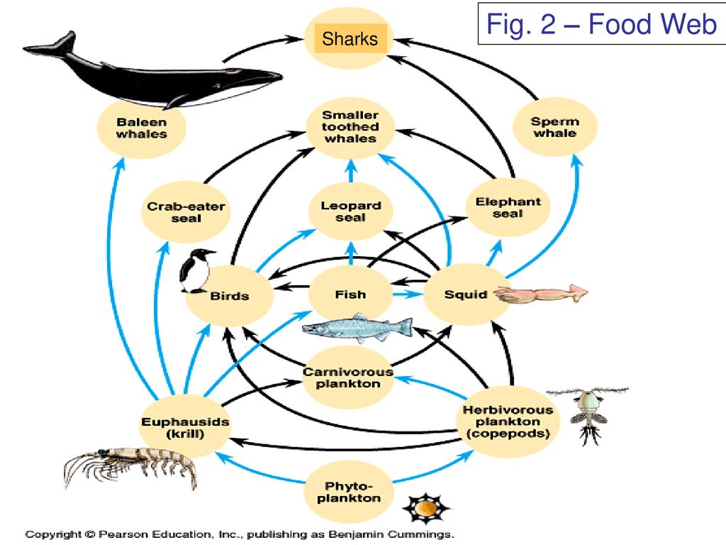 Wed. 5/1 Human Biology Test INB Check. Biology Diagrams