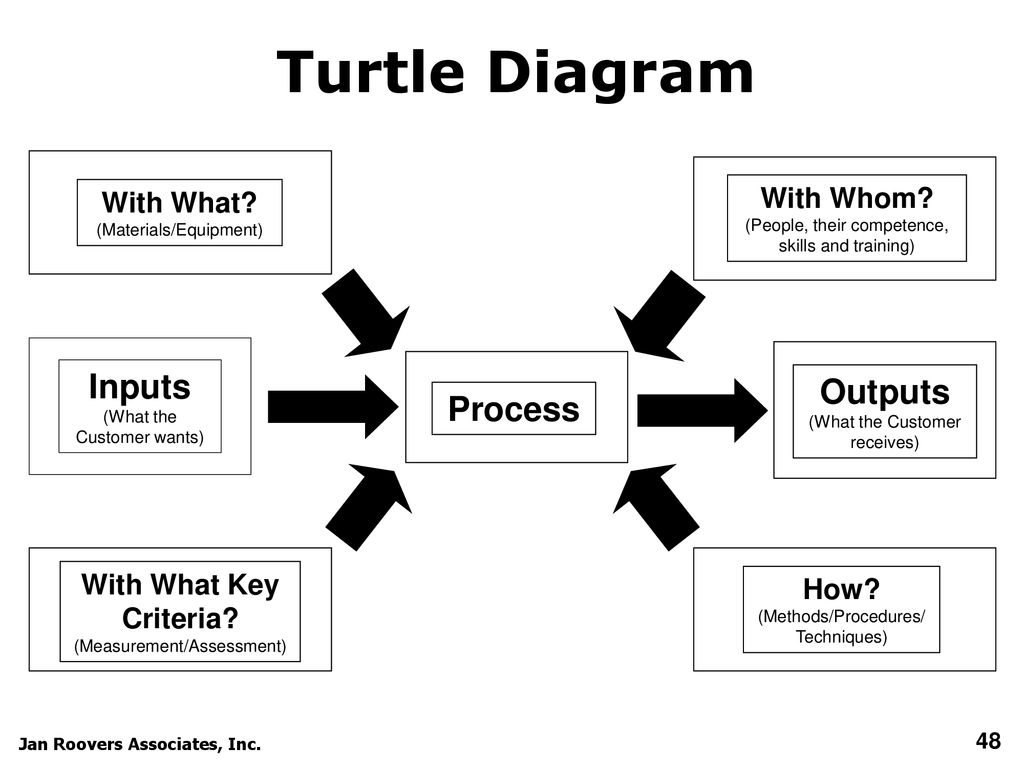 Turtle Diagram Inputs (What the Customer wants)