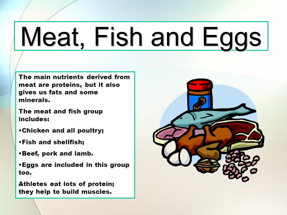 Meat, Fish and Eggs The main nutrients derived from meat are proteins, but it also gives us fats and some minerals.