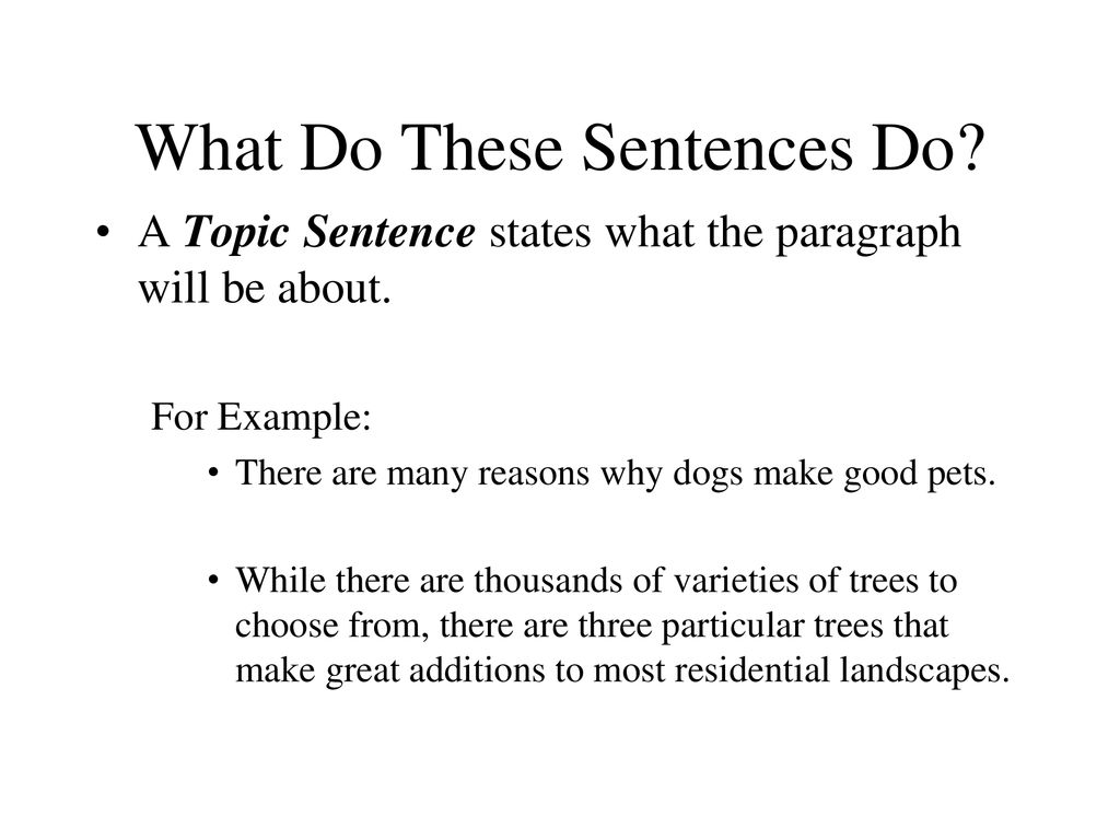 How to Write a Good Body Paragraph - ppt download