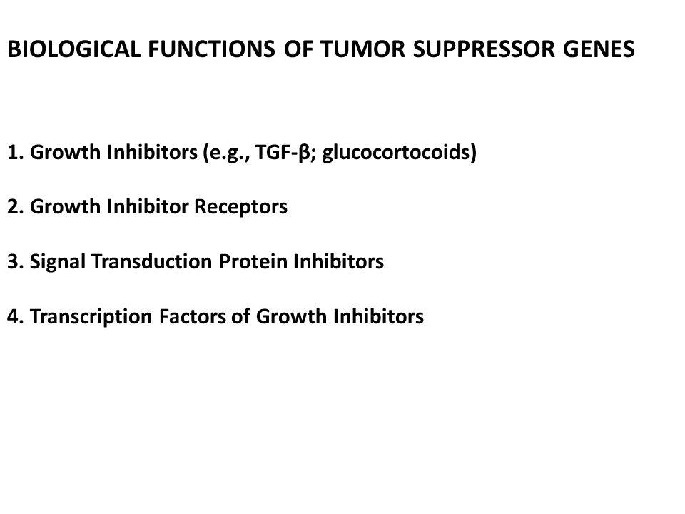 BIOLOGICAL FUNCTIONS OF TUMOR SUPPRESSOR GENES