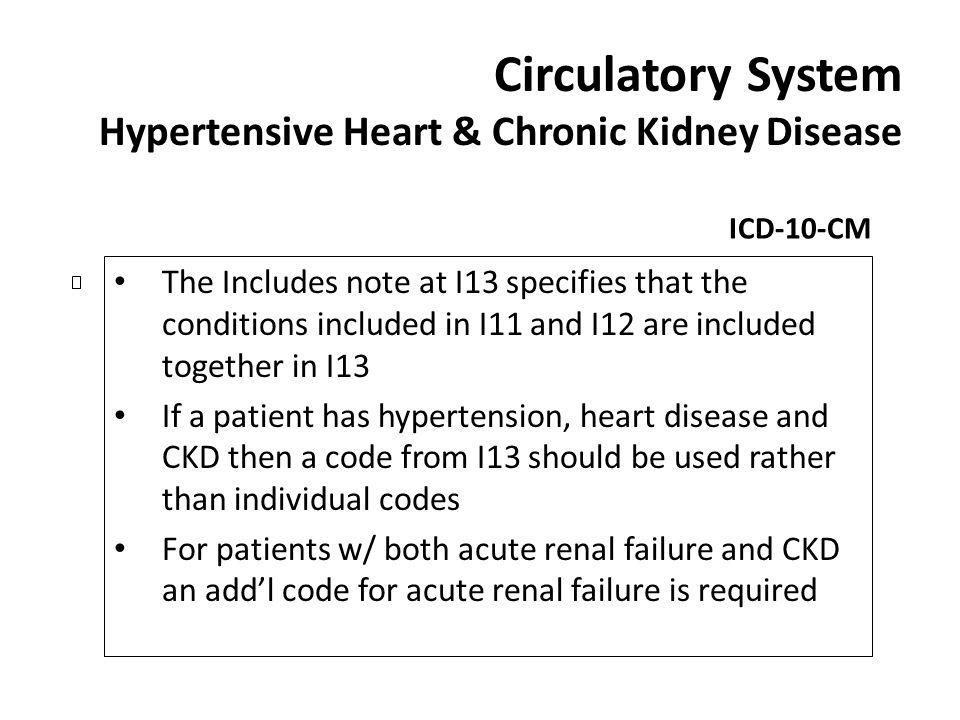 Circulatory System Hypertensive Heart & Chronic Kidney Disease