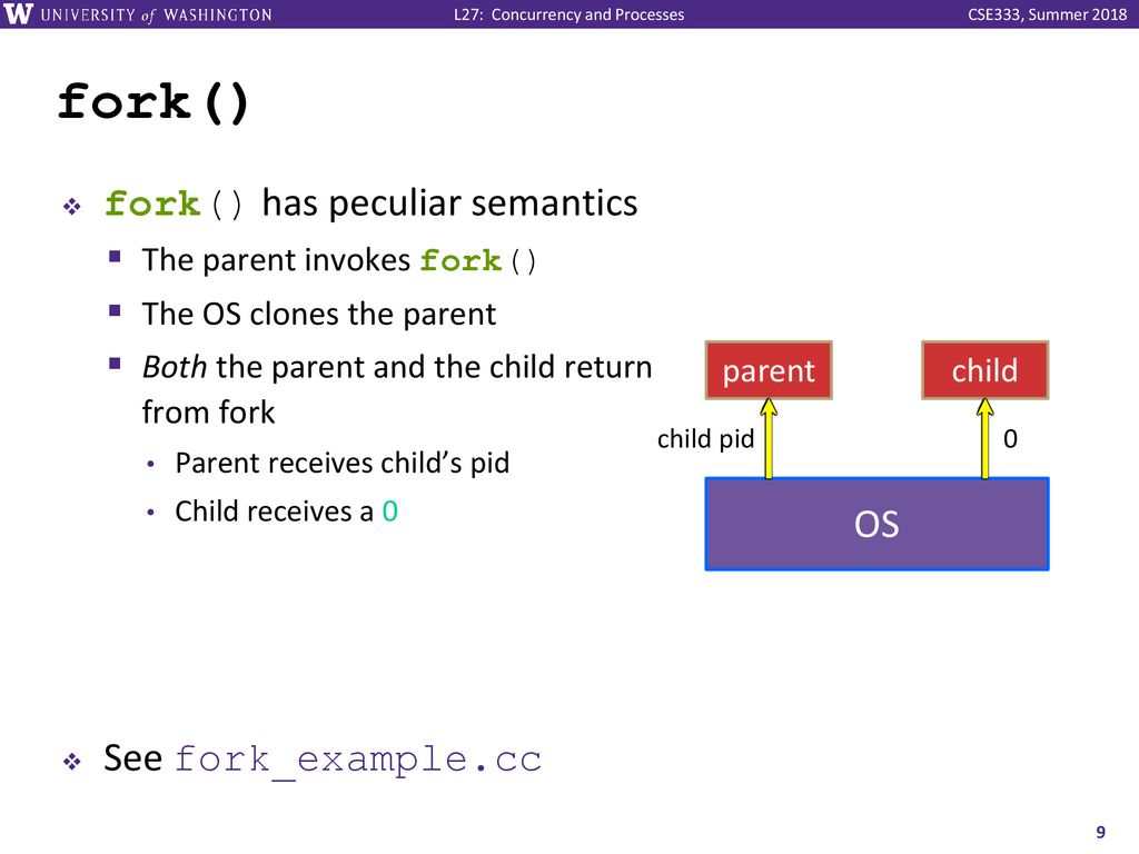 fork() fork() has peculiar semantics See fork_example.cc OS