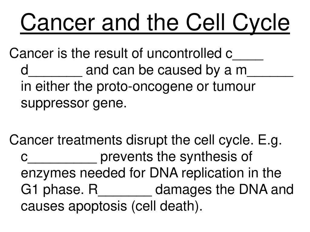 3.2.5 Cell Cycle L.O: to state and describe the stages in the cell ... Biology Diagrams