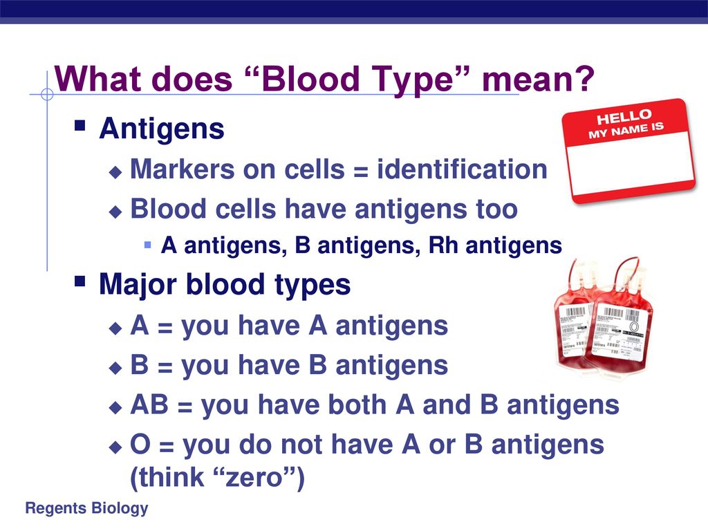 Circulatory System Blood Ppt Download circulatory-system-blood-ppt-download