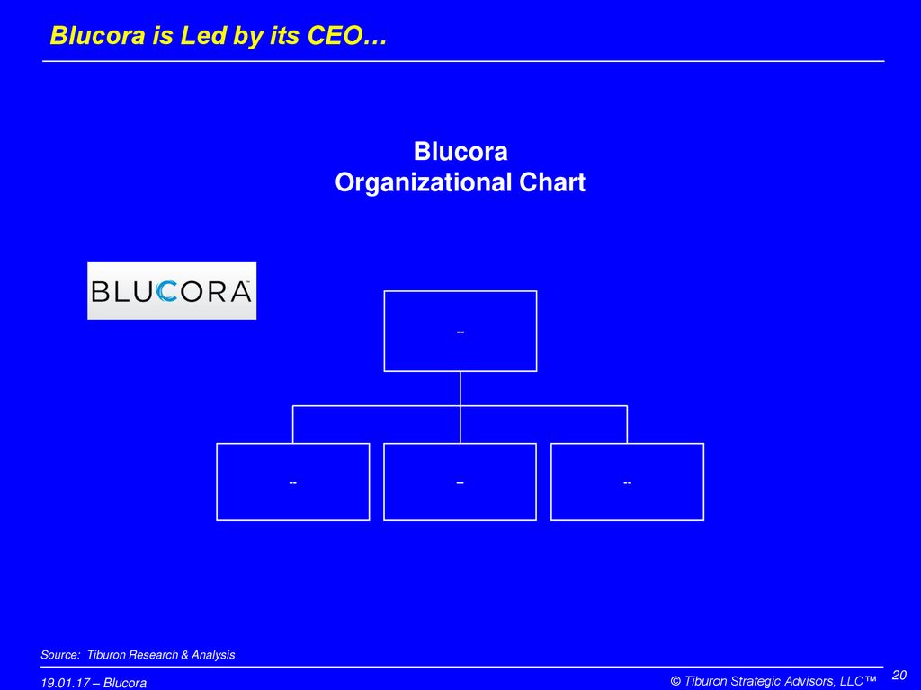 Financial Advisor Organizational Chart