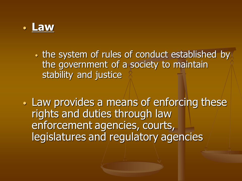 Law the system of rules of conduct established by the government of a society to maintain stability and justice.
